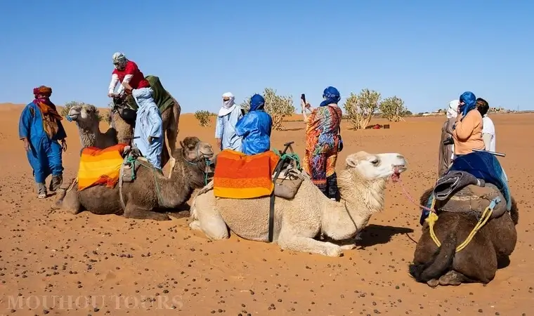 Shared desert tours from Marrakech