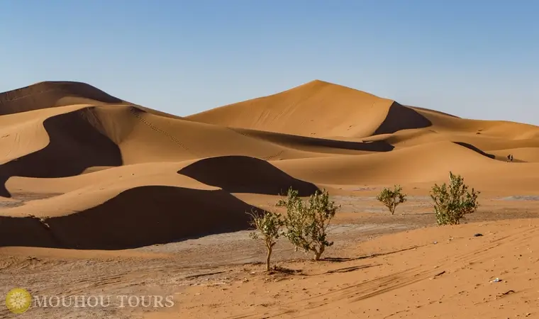 Marrakech to Erg Chigaga desert tour